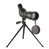 Backyard Bird Watching Supplies29417