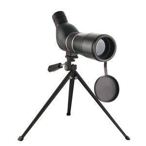 Backyard Bird Watching Supplies29417