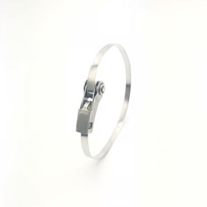 Ratchet Buckle Fasteners30670