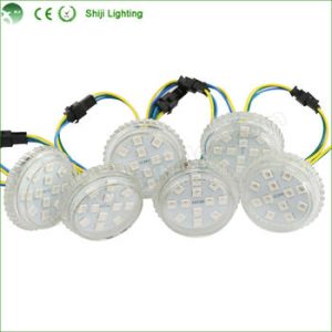 LEDs101965
