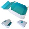 Packaging Design Services31017