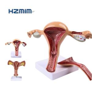 HTB1lwEZbjzuK1RjSsppq6xz0XXaj_300x300