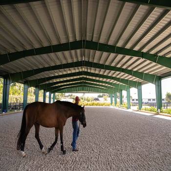 Horse Stable Stall83083