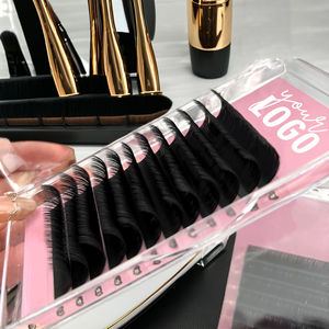 Fan Volume Lash Extensions60172