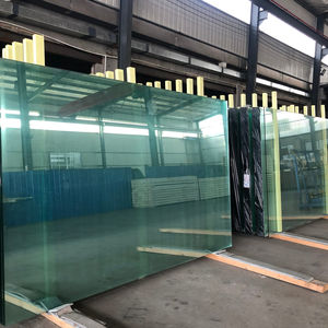 Low-E Coated Insulated Glass28816