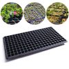 Seedling Pot21795