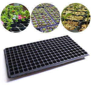 Seedling Pot21795