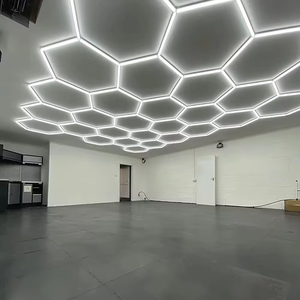 Garage Lights16787