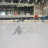 Roller Hockey15683