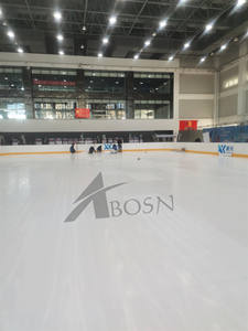 Roller Hockey15683