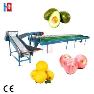 Fruit Vegetable Sorting Machine28762