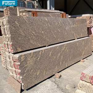 Other Natural Stone Slabs Blocks19403
