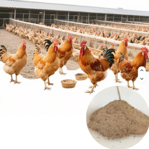 Feed Enzyme Preparation91814