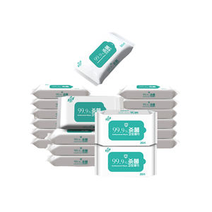 Antibacterial Sanitary Wipes25427