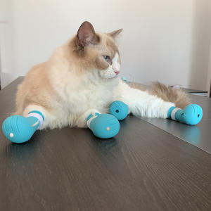 Pet Shoes Socks35448