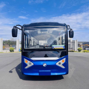 Sightseeing Shuttle Car77609
