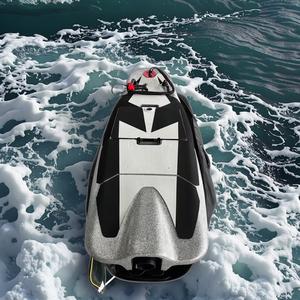 Electric Surfboards19775
