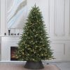 Christmas Tree79179