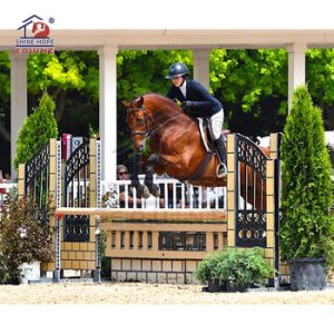 Equestrian Set & Accessories88526