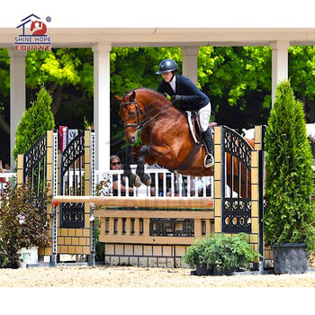 Equestrian Set & Accessories88526