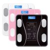 Body Weighing Scales10428