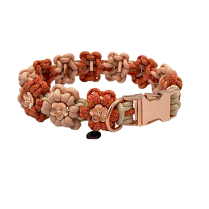 Other Pet Collar & Leash23309
