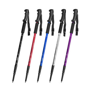 Ski Poles25132