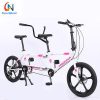 Tandem Bicycles25213