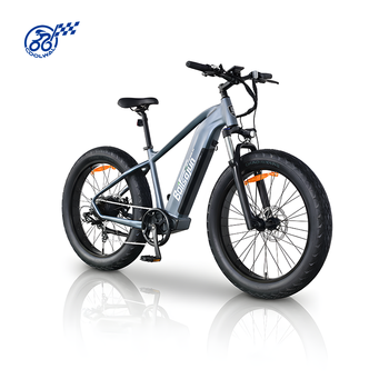 Multi-purpose Bicycle82424