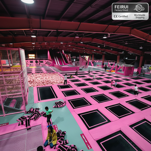 Trampoline Park Equipment9656