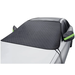 Automotive Windshield Glass30010