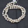 Loose Pearl Beads83373