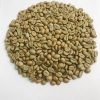 Green Peas13666
