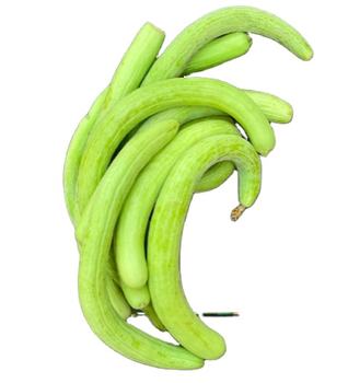 Frozen Vegetable84100