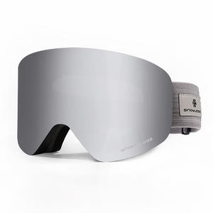 Ski Goggles29219