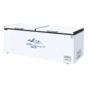 Large-capacity Commercial and Household Refrigeration and Freezing Upright Freezer